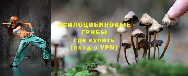 синтетический гашиш Белокуриха