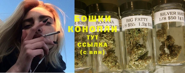 крисы Беломорск