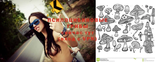 синтетический гашиш Белокуриха