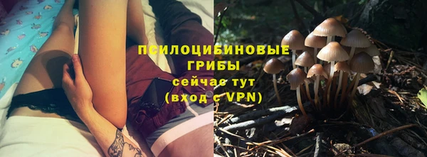 синтетический гашиш Белокуриха