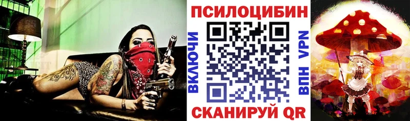 Псилоцибиновые грибы Psilocybine cubensis  Купить  Краснокамск 