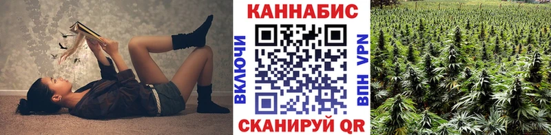 Купить где  Краснокамск  МАРИХУАНА планчик 